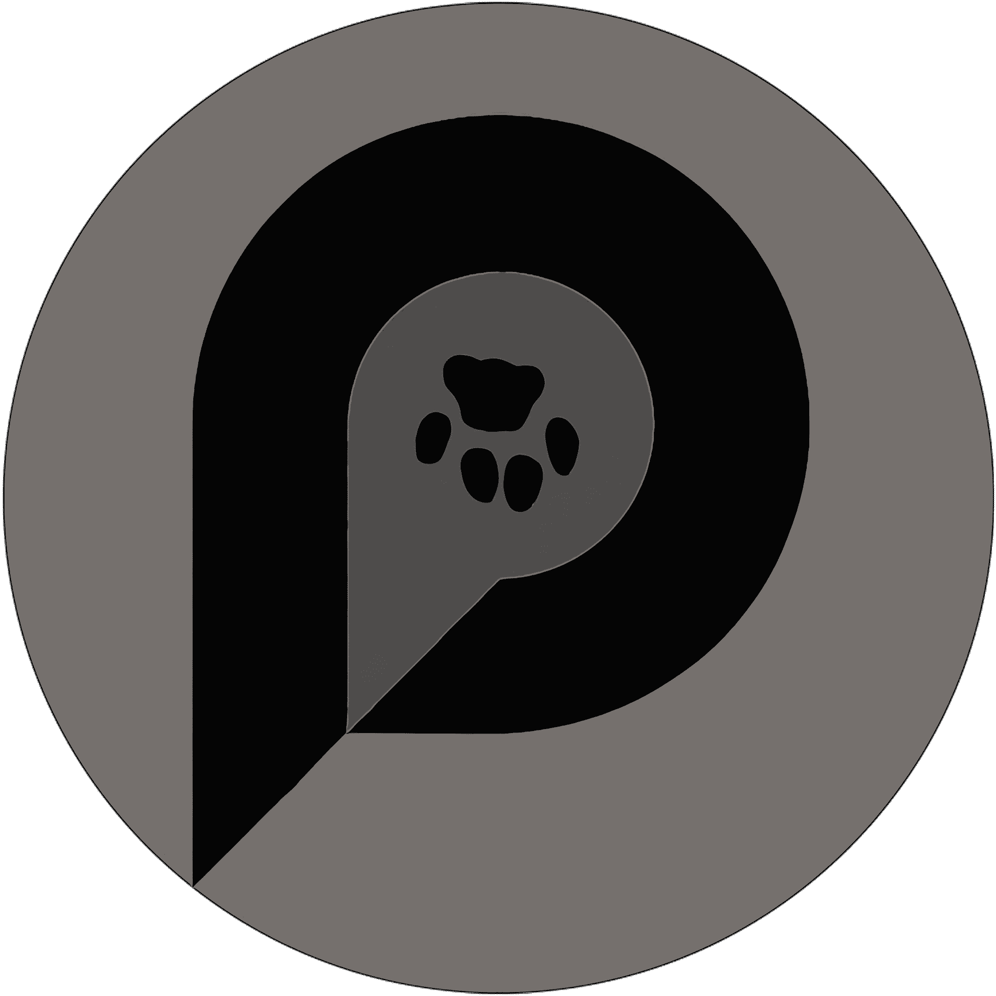 logo del portafolio de Gian Piere Condori Huarcaya